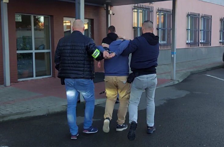 Siedem osób zatrzymanych w trakcie działań poszukiwawczych
