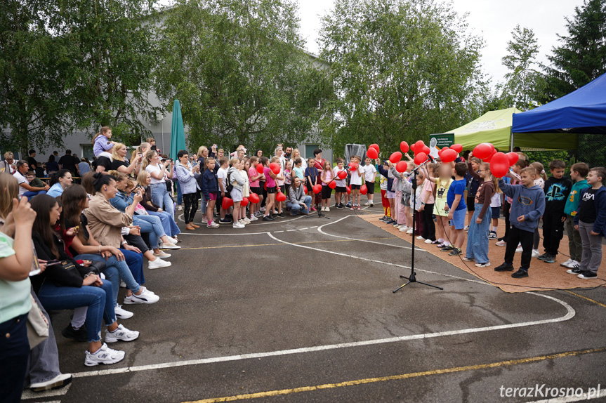 Sobotni piknik rodzinny w Świerzowej Polskiej
