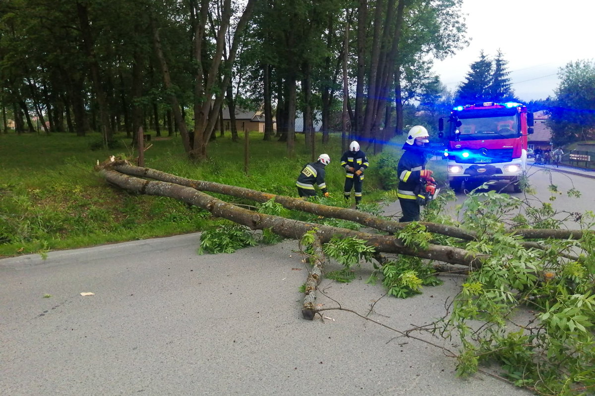 Haczów. Silny podmuch wiatru powalił drzewo na drogę