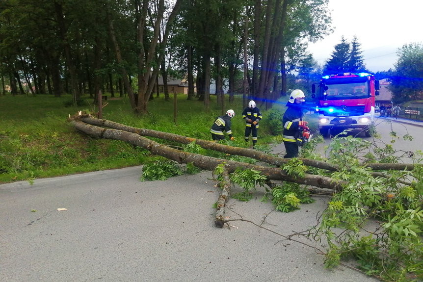 Haczów. Silny podmuch wiatru powalił drzewo na drogę