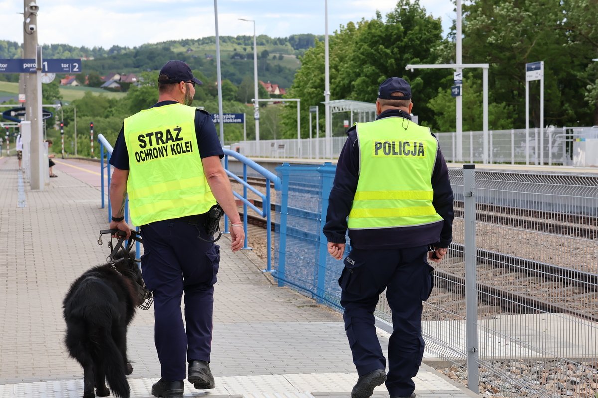 Kolej pod czujnym okiem służb. Mundurowi przeciwdziałają wandalizmowi i kradzieżom