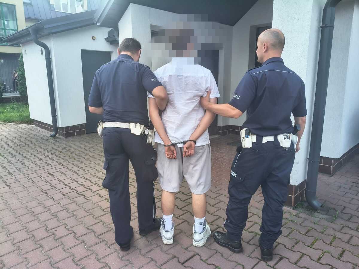 Uderzył w skarpę, zostawił auto i poszedł do domu