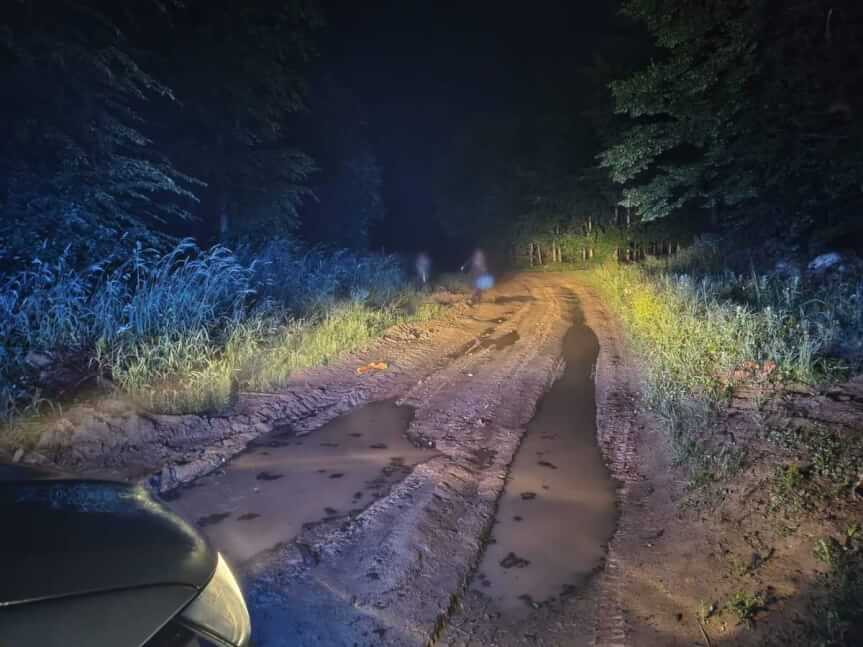 Zgubili się w lesie i bali się iść dalej. Zauważyli ślady dużego zwierzęcia