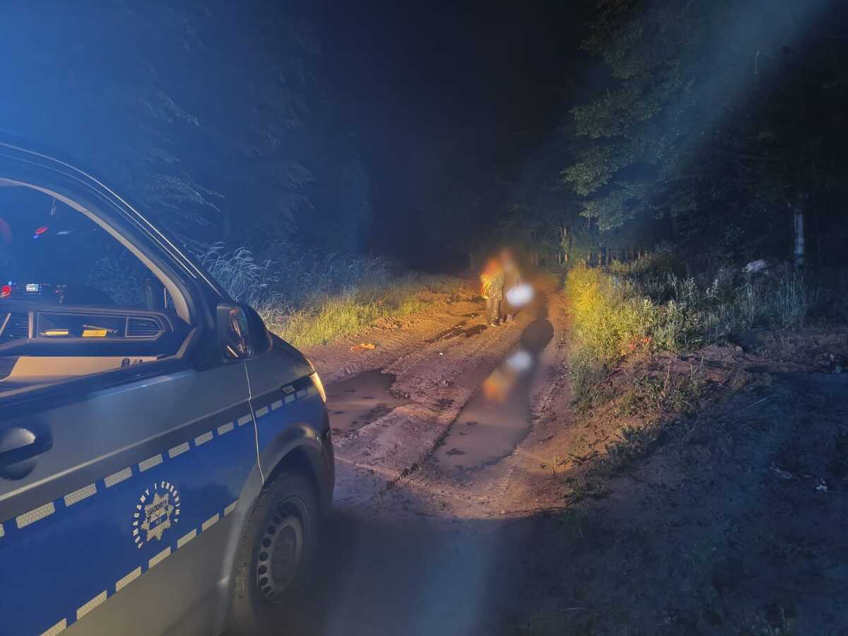 Zgubili się w lesie i bali się iść dalej. Zauważyli ślady dużego zwierzęcia