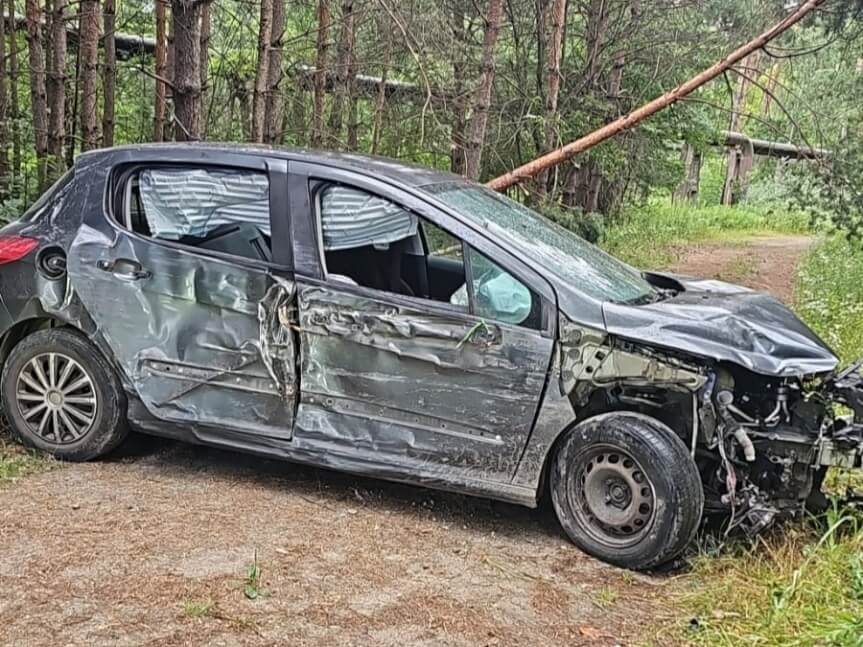 Uderzył w słup i uciekł do lasu
