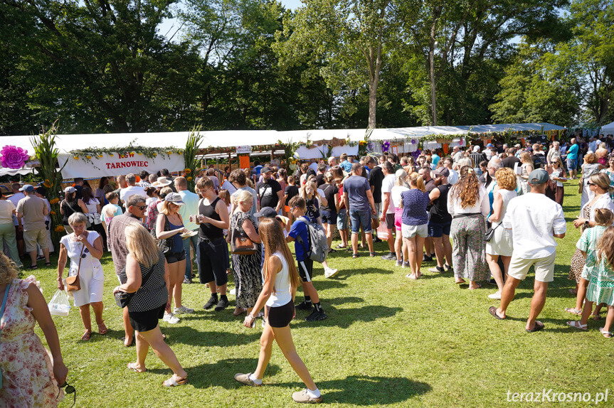Trwa Festiwal Pierogów w Tarnowcu. Dziesiątki tysięcy pierogów i morze ludzi