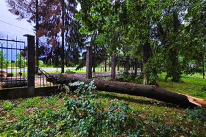 Burze nad Podkarpaciem. Strażacy interweniowali ponad 70 razy