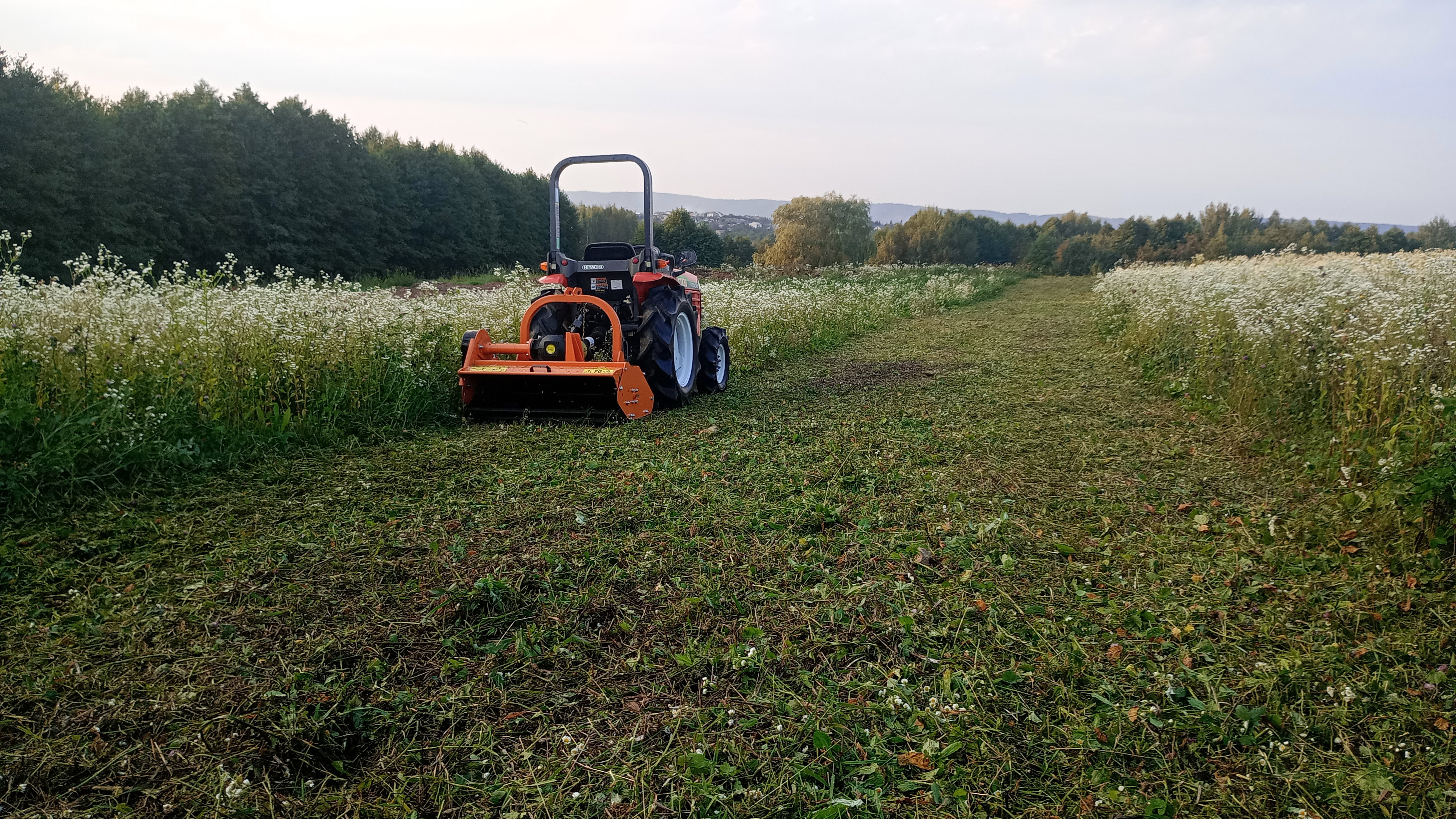Koszenie Mulczowanie Traw Zarośli Nieużytków Łąk Kosiarką Bijakową