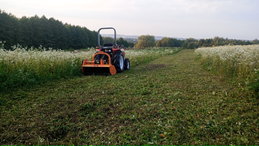 Koszenie Mulczowanie Traw Zarośli Nieużytków Łąk Kosiarką Bijakową