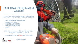 Pielęgnacja zieleni
