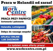 Sortowanie i pakowanie papryki (k/m) Oferta pracy w Holandii
