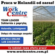 Team Leader w szklarni z papryką (k/m) Oferta pracy w Holandii