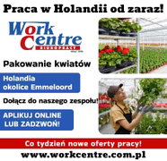 Uprawa i pielęgnacja kwiatów (k/m) Oferta pracy w Holandii