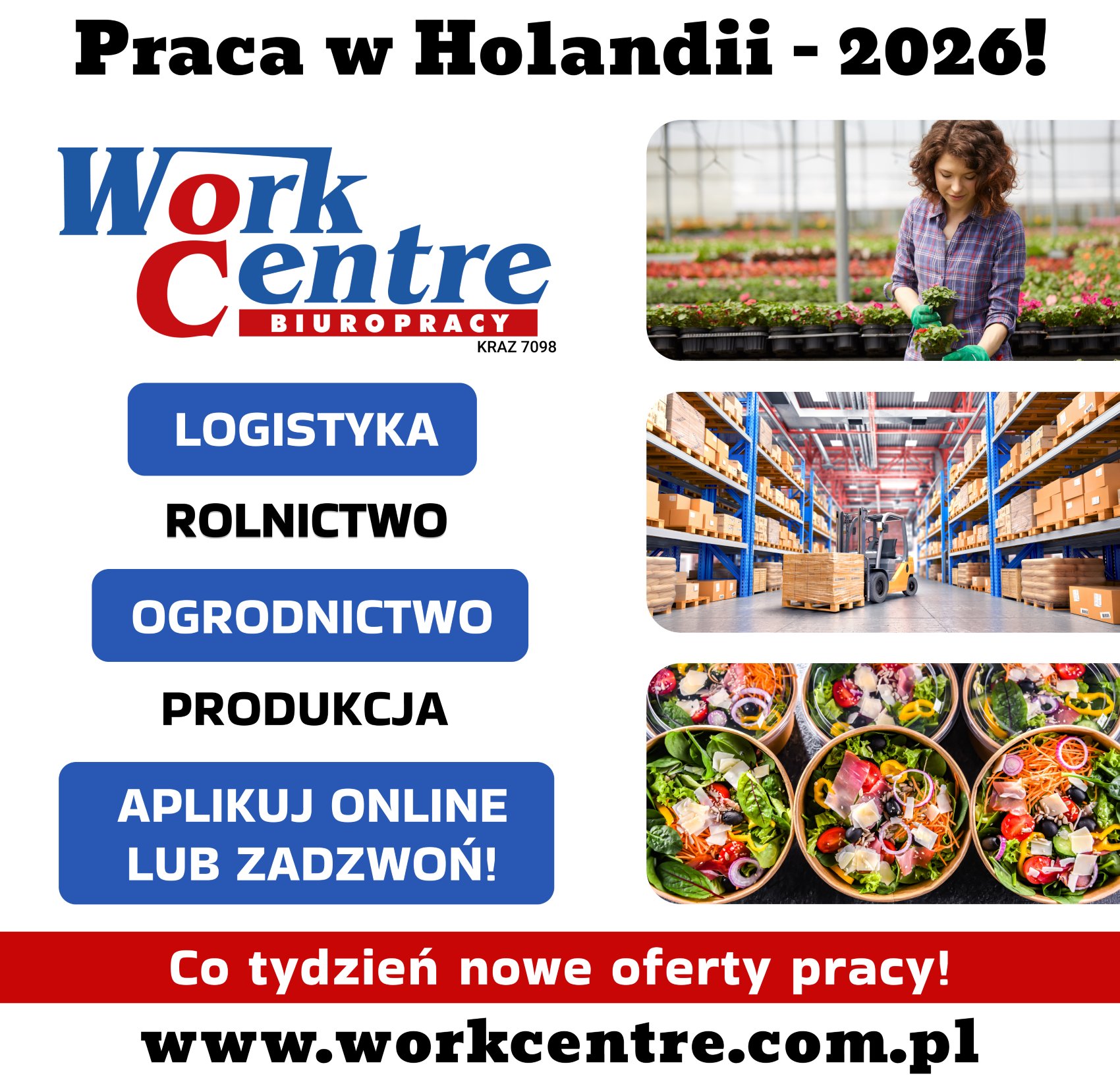 Order picker - chłodnia (k/m) Oferta pracy w Holandii