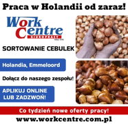 Sortowanie cebulek kwiatowych (k/m) Oferta pracy w Holandii