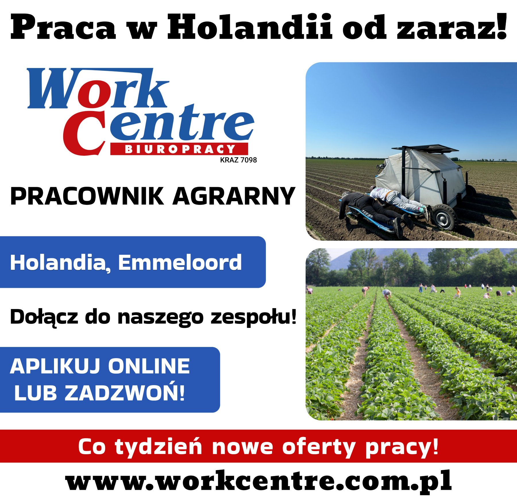 Pracownik agrarny (k/m) Oferta pracy w Holandii