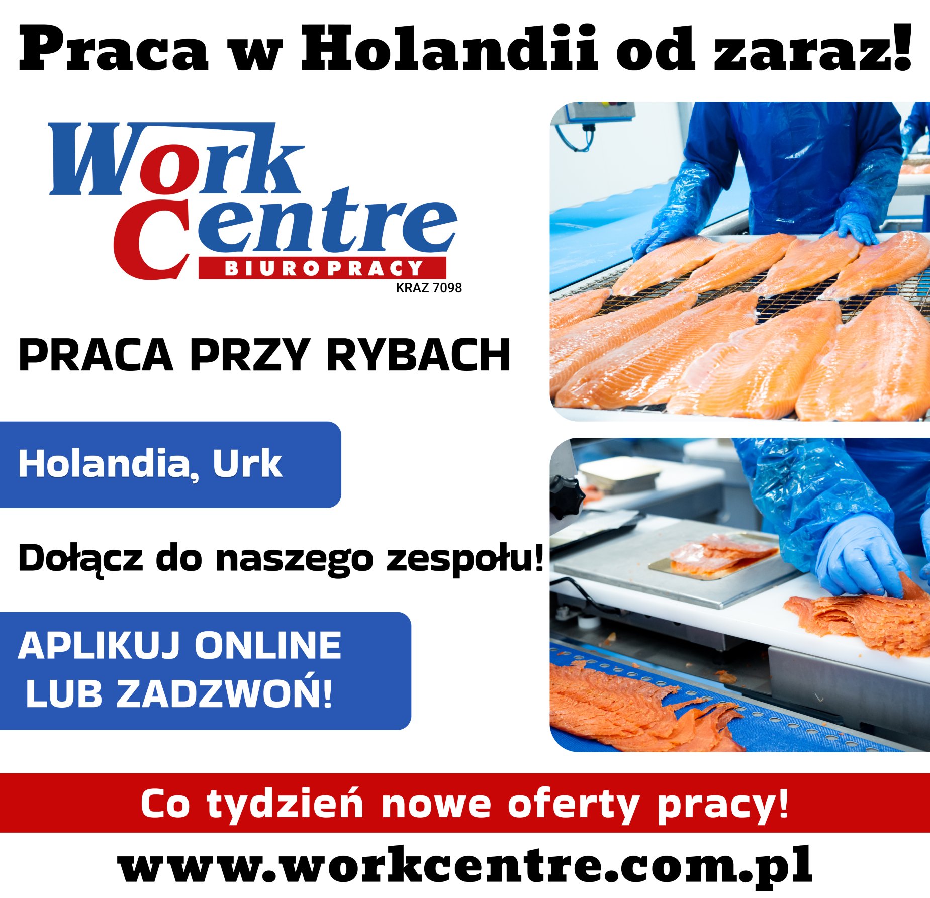 Pakowanie ryb (k/m) Oferta pracy w Holandii