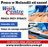 Pakowanie ryb (k/m) Oferta pracy w Holandii