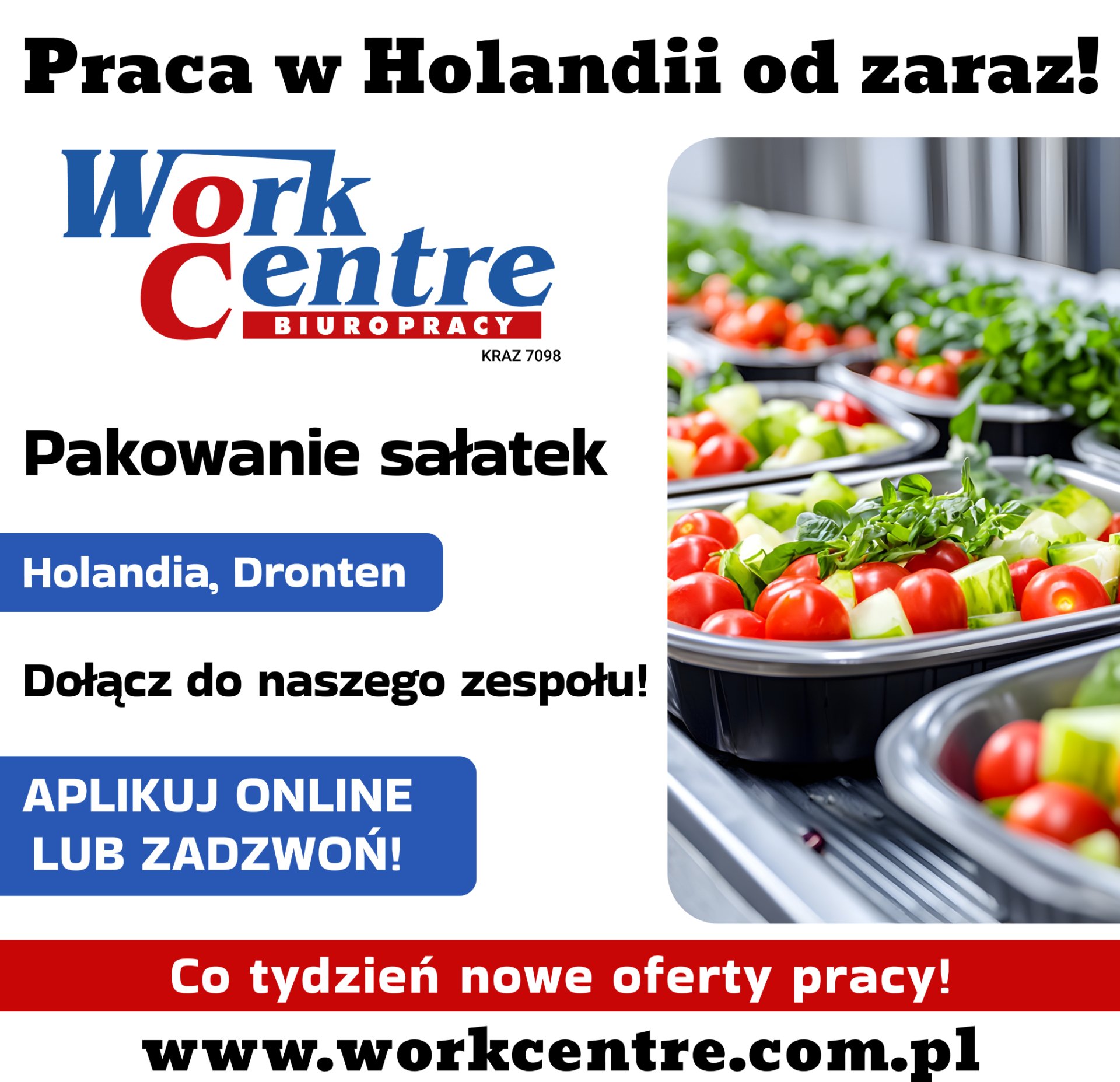 Pakowanie sałatek (k/m) Oferta pracy w Holandii