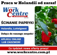 Ścinanie i sortowanie papryki (k/m) Oferta pracy w Holandii