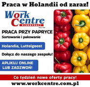 Ścinanie i sortowanie papryki (k/m) Oferta pracy w Holandii
