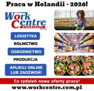 Oferta pracy w Holandii (k/m)