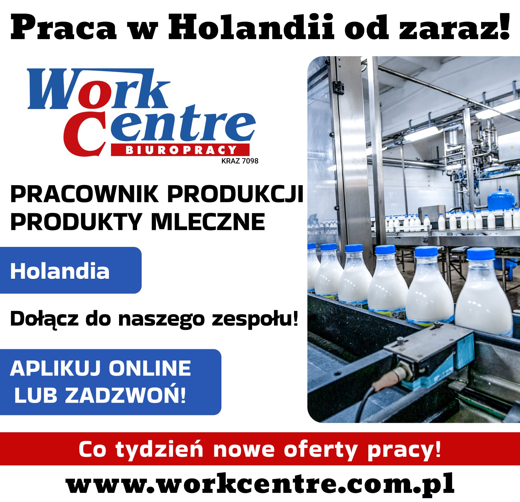 Pracownik produkcji - produkty mleczne (k/m) Oferta pracy w Holandii