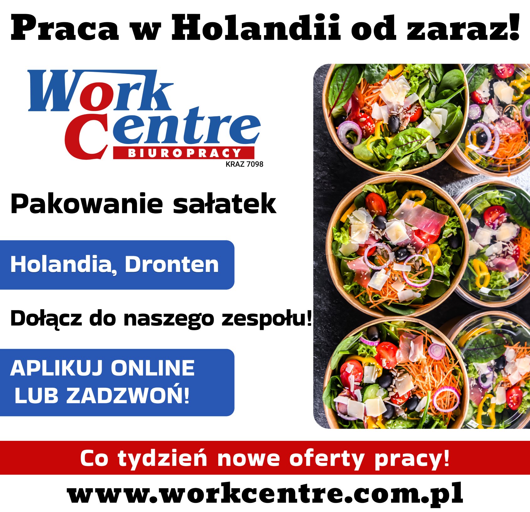 Pakowanie sałatek (k/m) Oferta pracy w Holandii