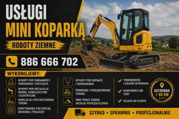 Usługi mini koparka 3t