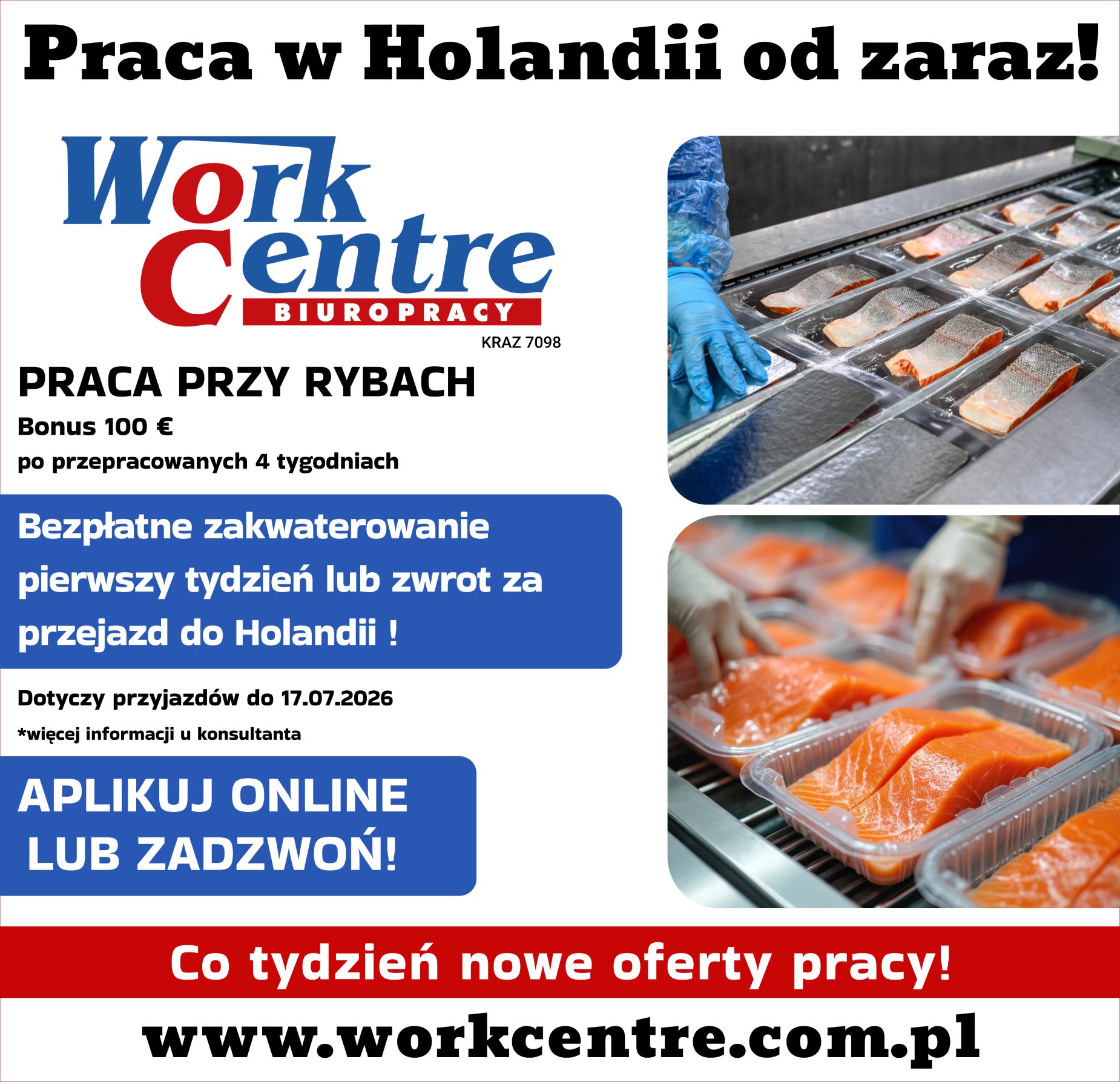 Pakowanie ryb (k/m) Oferta pracy w Holandii -BONUS