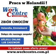 Zbiory owoców w sadzie (k/m) Oferta pracy w Holandii