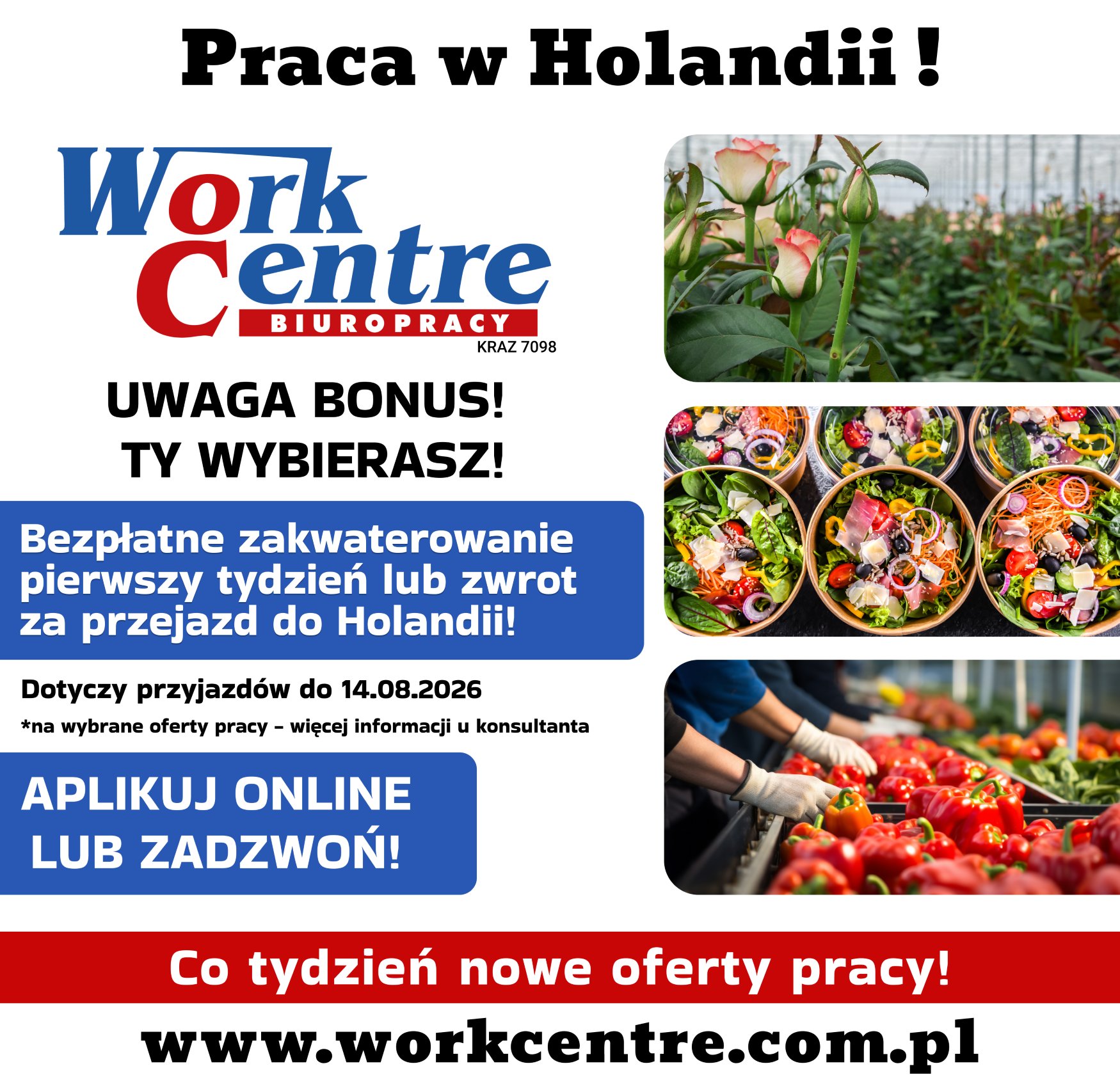 Oferta pracy w Holandii - BONUS do 14.08