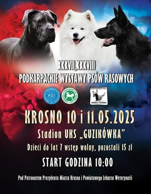 37. i 38. Podkarpacka Wystawa Psów Rasowych