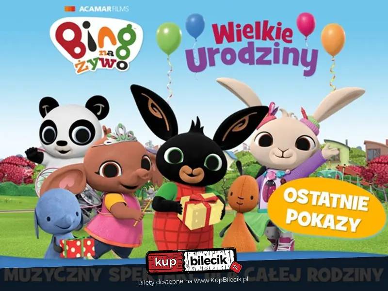 Bing Na Żywo - Wielkie Urodziny w Rzeszowie