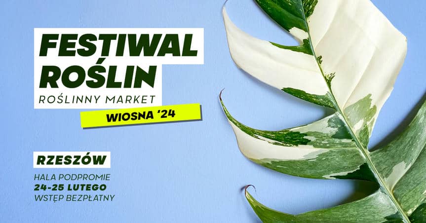 Festiwal Roślin w Rzeszowie - wielki market roślin w supercenach