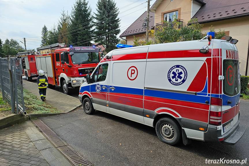 Potrącenie pieszej w Głowience