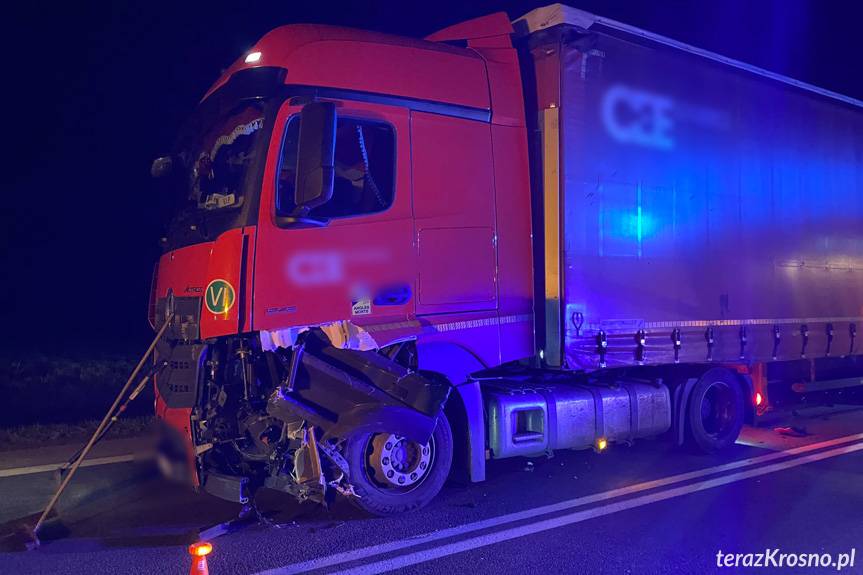 Zderzenie tira z sarną w Nowej Wsi