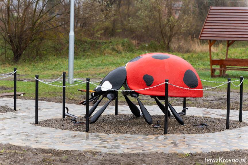 Gigantyczne owady zamieszkały w Niżnej Łące