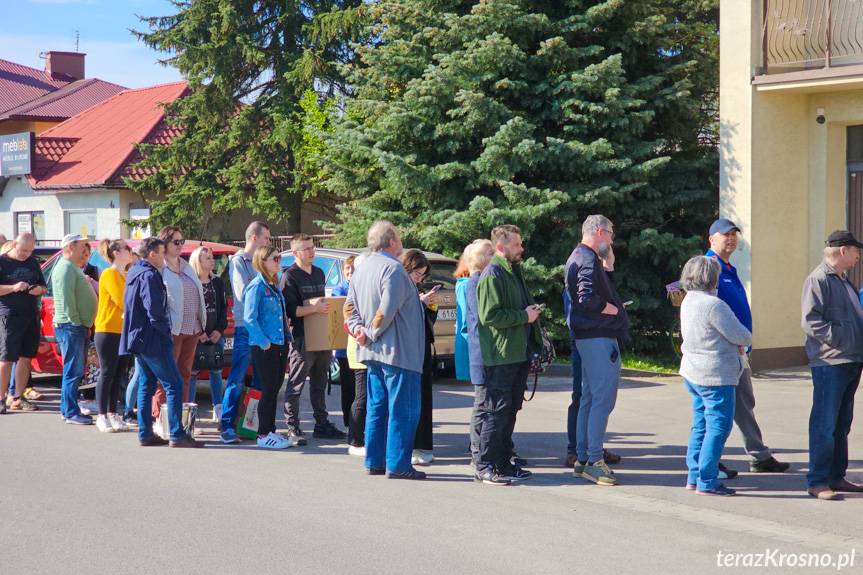 Sadzonki schodziły jak ciepłe bułeczki