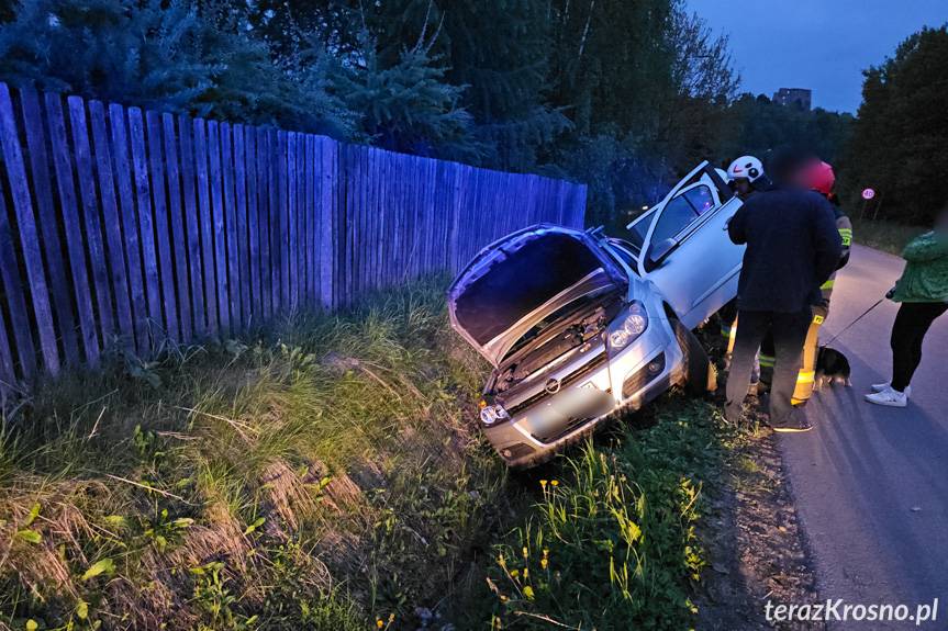 Kierujący oplem wjechał do rowu