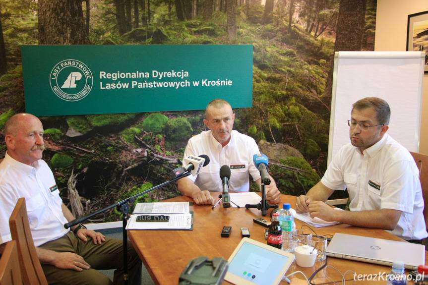 Spór o wycinkę lasów. Jakie są wyniki konsultacji?