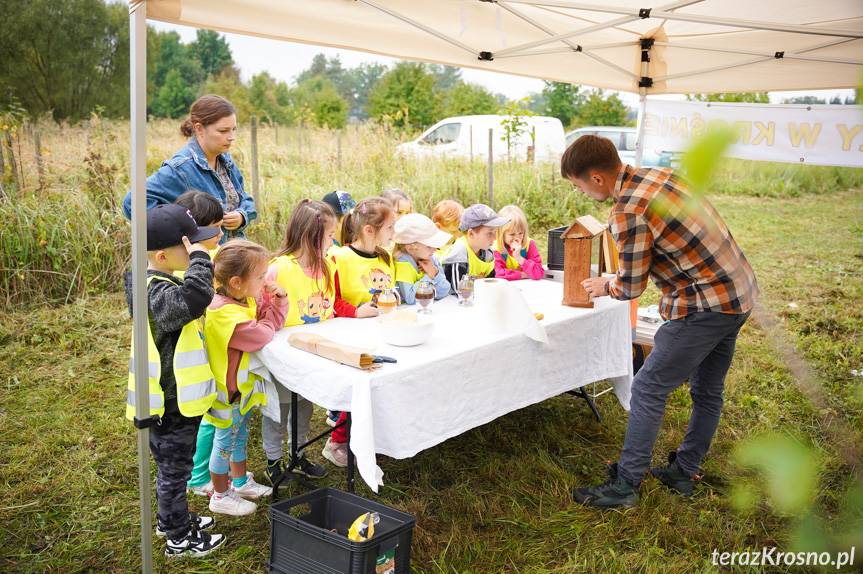 Miejskie miodobranie w Krośnie. Słodka edukacja dla najmłodszych