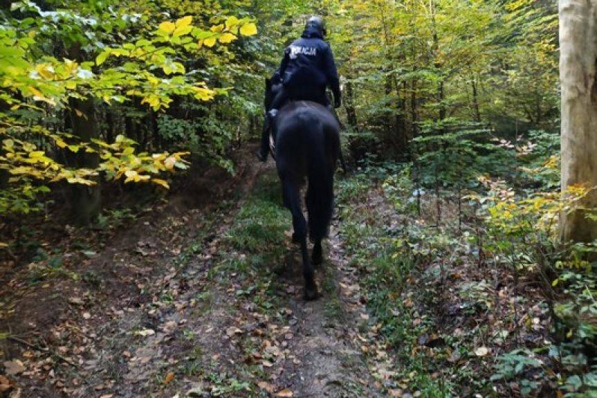 Jeźdźcy w mundurach patrolują lasy