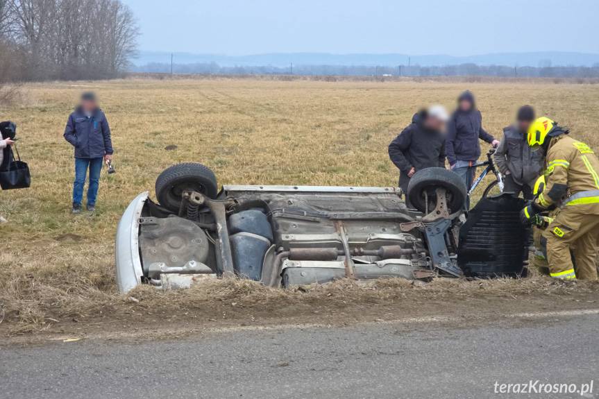 Dachowanie skody we Wróbliku Królewskim