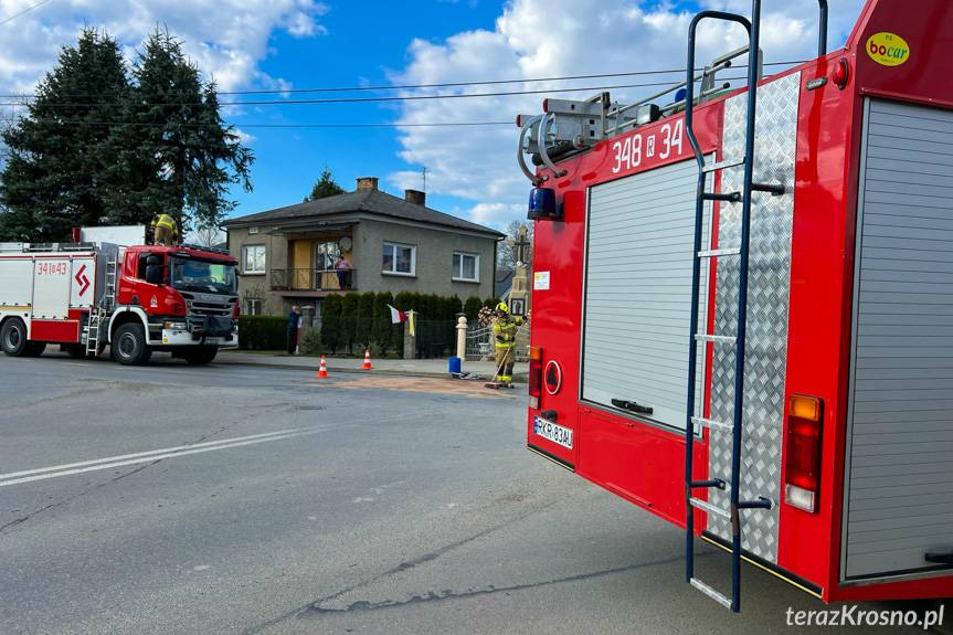 Kolizja we Wróbliku Królewskim