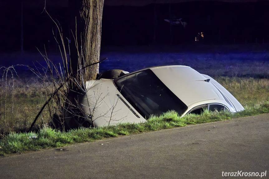 22-latek zakończył jazdę na drzewie