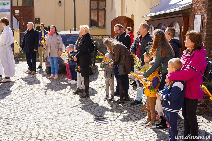Tradycja żyje - Niedziela Palmowa w krośnieńskiej Farze [ZDJĘCIA]