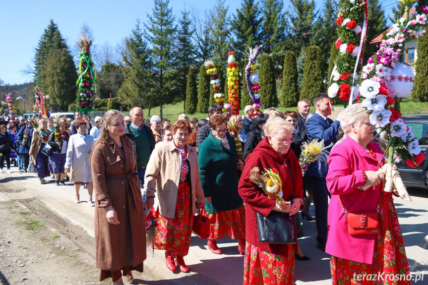 Barwna parada palm wielkanocnych w Głębokiem [ZDJĘCIA]