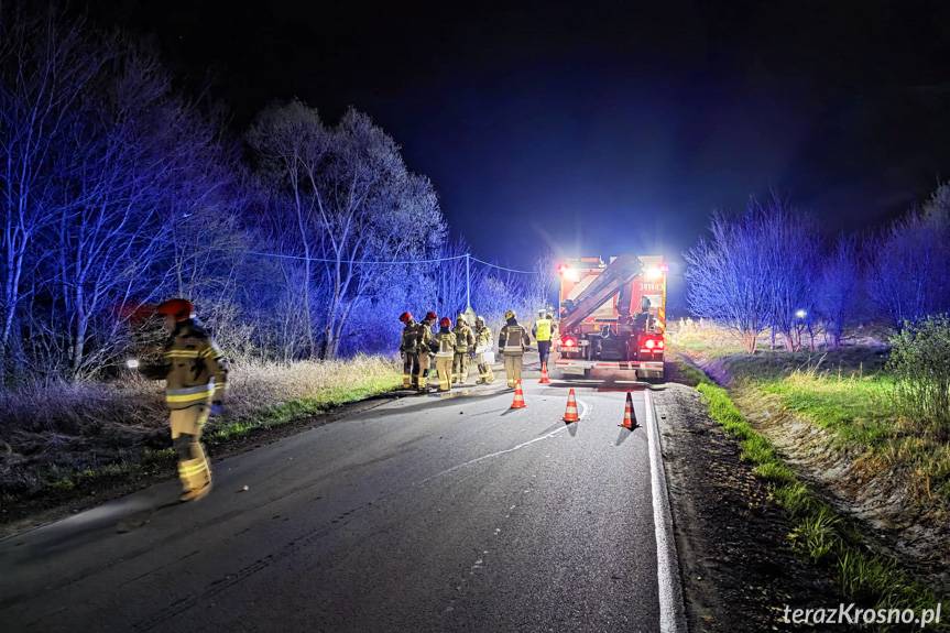 Groźne zderzenie z sarną. Motocyklista i pasażer ranni