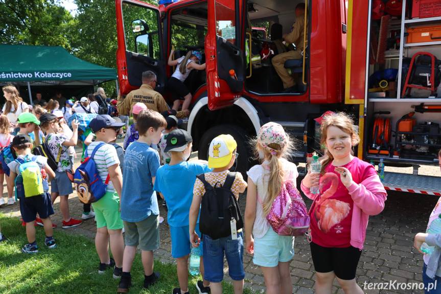 Wakacje tuż tuż. Piknik edukacyjny w Ogródku Jordanowskim [ZDJĘCIA]